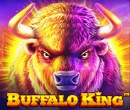 Buffalo King